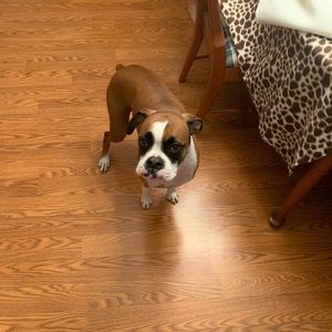 Meet your Posher, Joseph